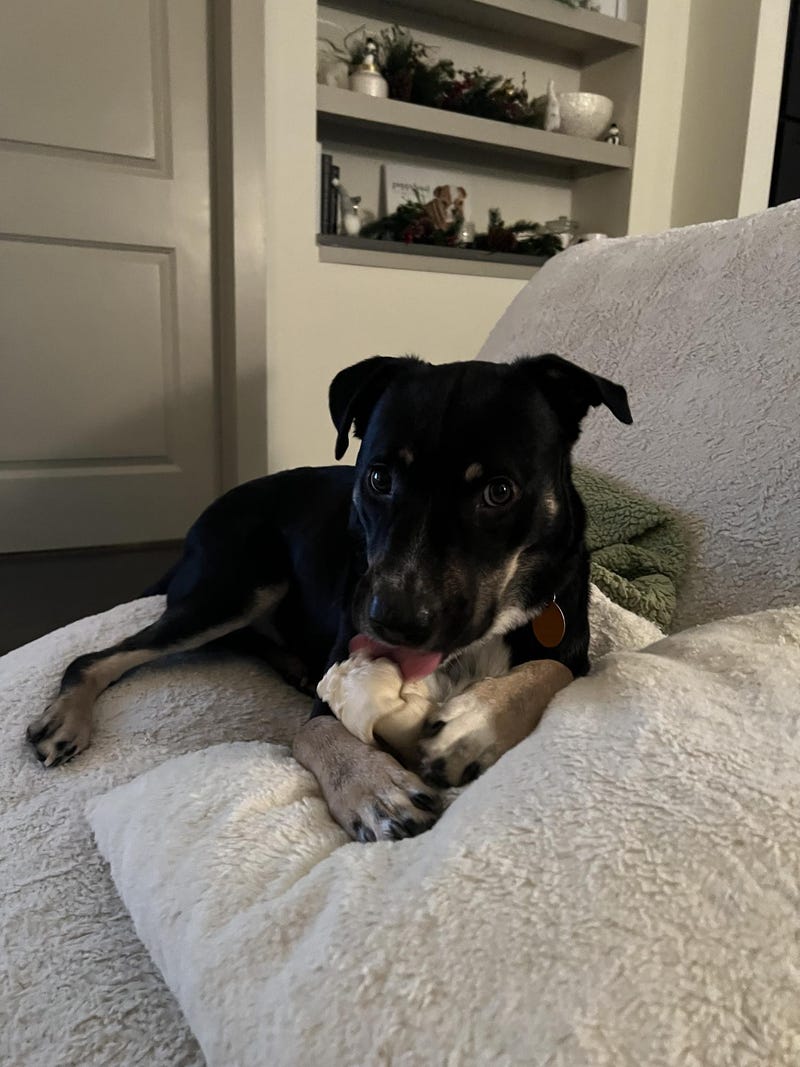 Hunter #A1162623