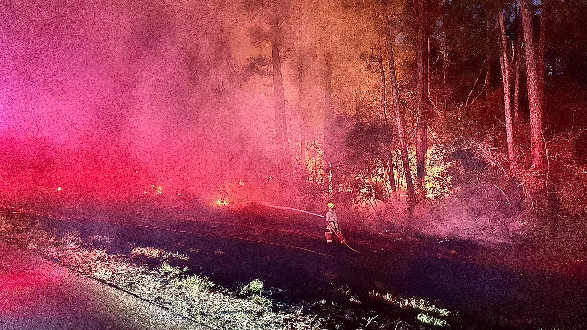 The risk of wildfires remains high in Louisiana, says state Agriculture Commissioner Mike Strain