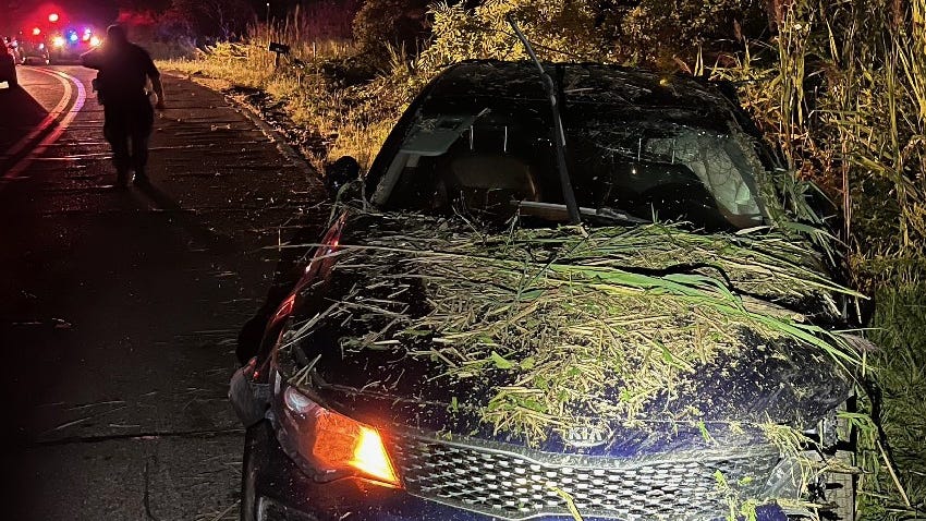Police putting the pieces together after 'targeted' shooting on I-94 makes teen driving stolen car lose control, leave the road