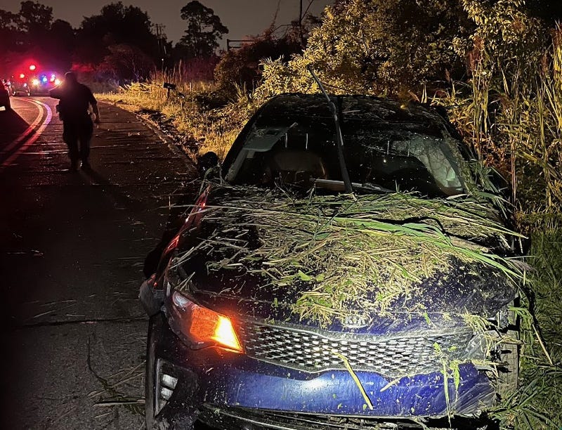 Stolen Kia covered in debris after crashing off the road