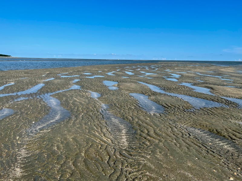 PHOTOS: Toohey’s Carolina Family Vacation 2021