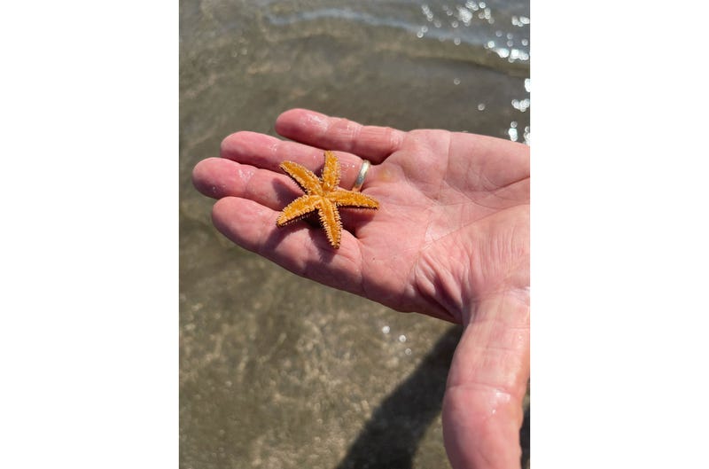 PHOTOS: Toohey’s Carolina Family Vacation 2021