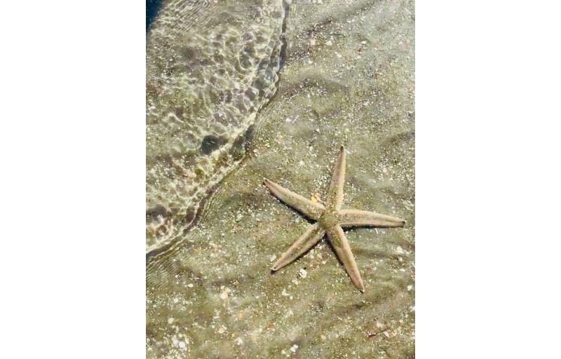 PHOTOS: Toohey’s Carolina Family Vacation 2021
