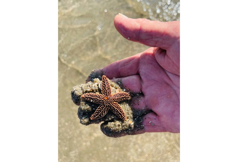 PHOTOS: Toohey’s Carolina Family Vacation 2021