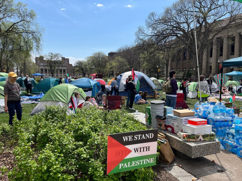 Campus, University of Minnesota, Protests, Israel, Palestine