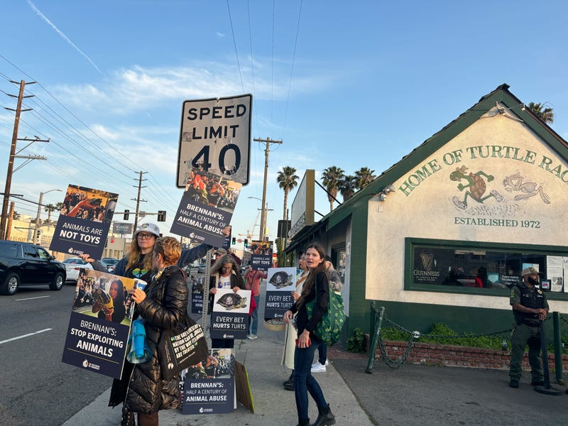 Protest 