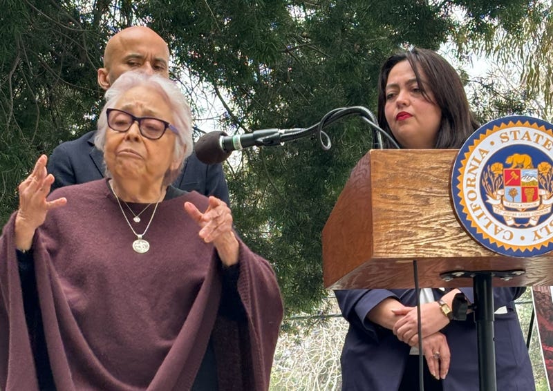 Assemblywoman Wendy Carrillo