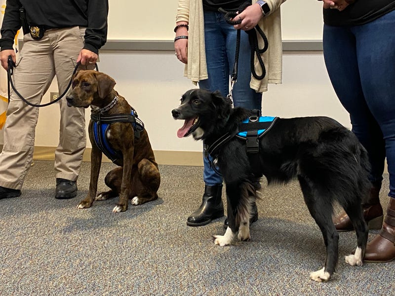 Kane County Sheriff's Office therapy dogs