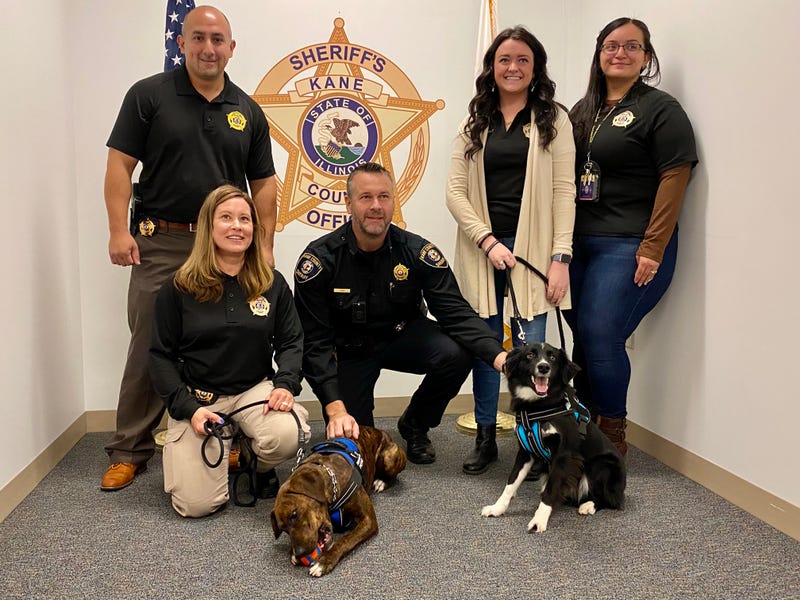 Kane County Sheriff's Office therapy dogs