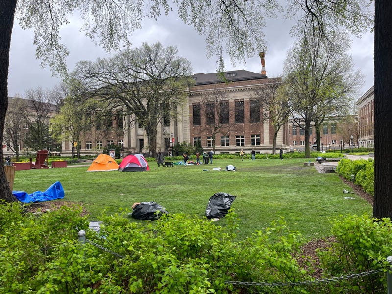 University of Minnesota, Palestine, Protests, Ettinger, Encampment