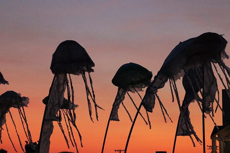 Jellyfish landmarks at Sea.Hear.Now