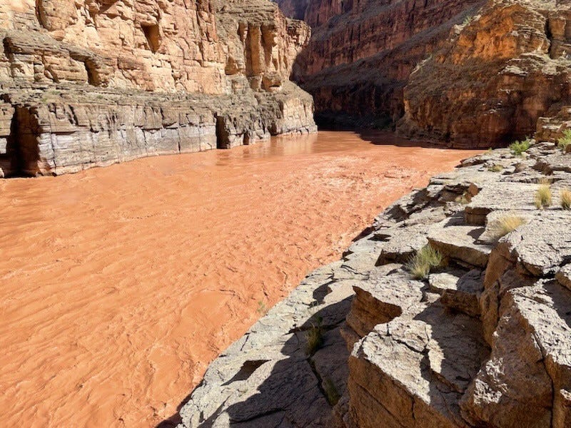 The confluence of Havasu Creek and the Colorado River