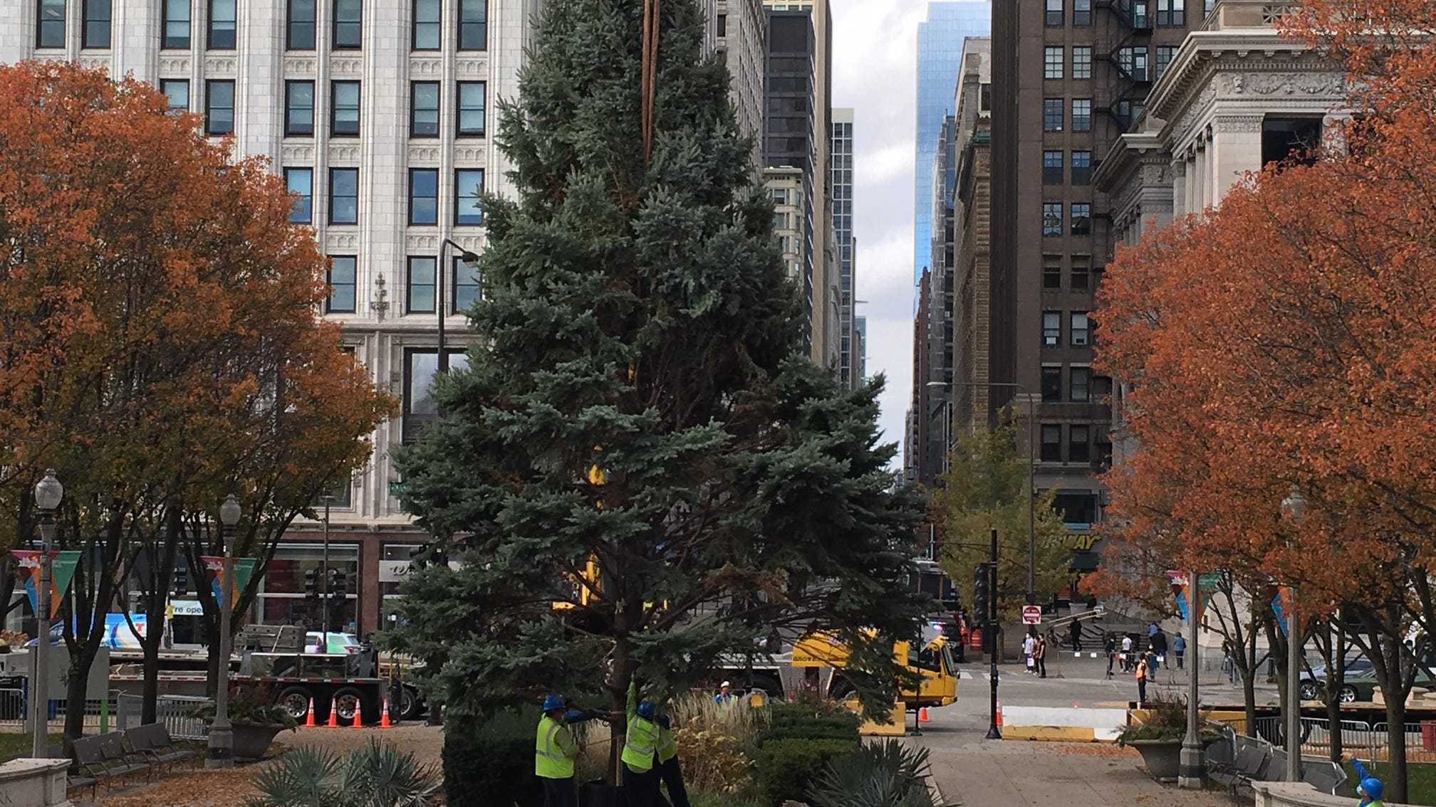 Chicago's official Christmas tree arrives in Millennium Park