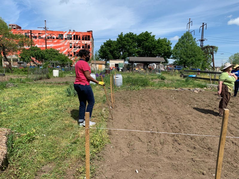 Glenwood Green Acres Community Garden at N. 18th Street and Glenwood Avenue.