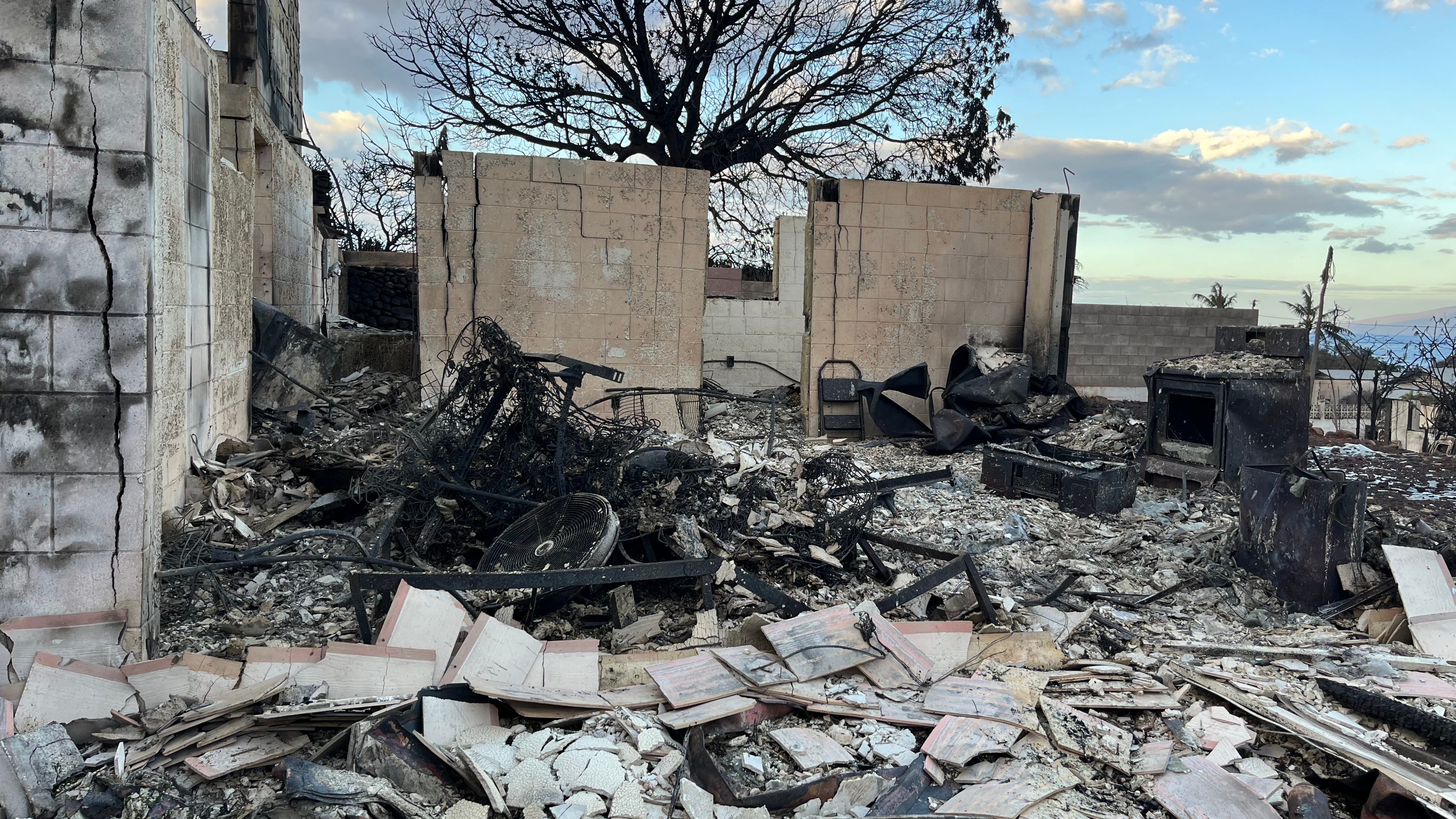 Maui death toll surpasses 111 with 38% of the burn area searched