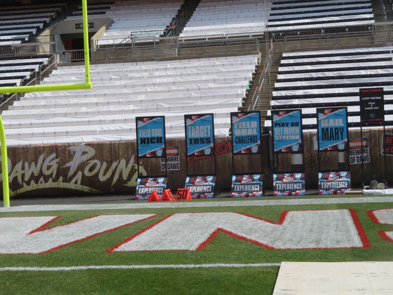 NFL Draft Experience
