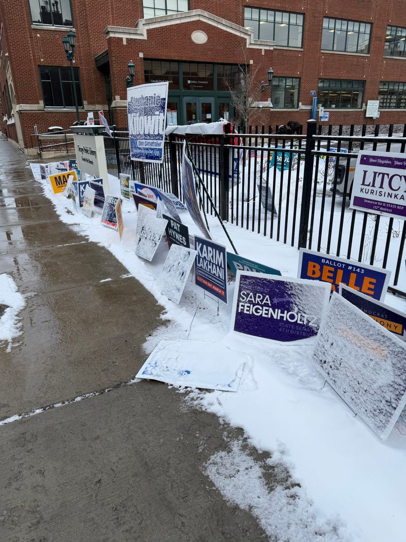 Election signs on display outside a polling place in Chicago's Lincoln Park neighborhood.