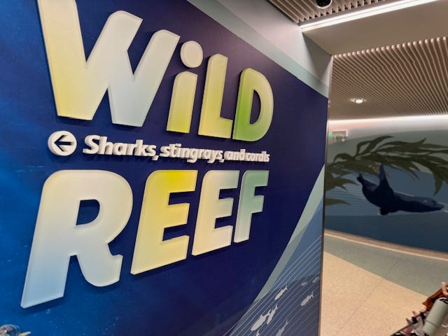 Wild Reef at the Shedd