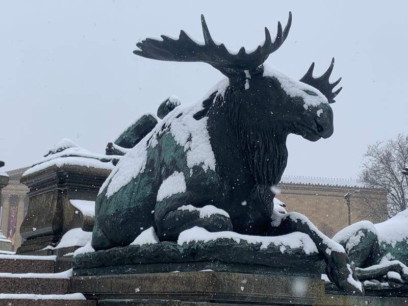 This moose statue outside the Philadelphia Museum of Art seems right at home covered in snow.