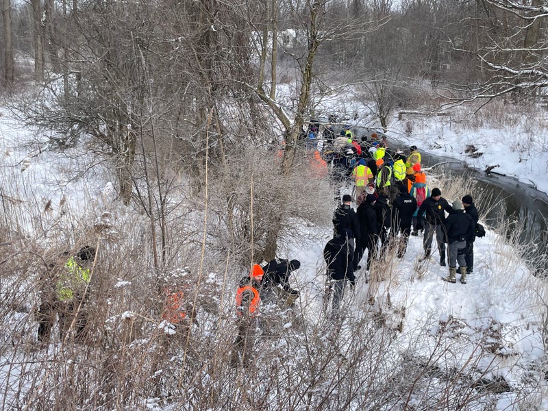 Search for missing woman in Amherst