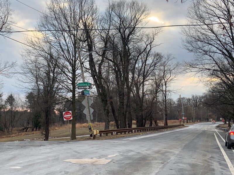 Chamounix Drive in Fairmount where two men were attacked by dogs Friday morning. 