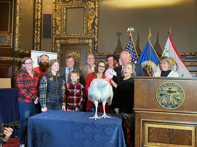 Minnesota's Thanksgiving turkey. 