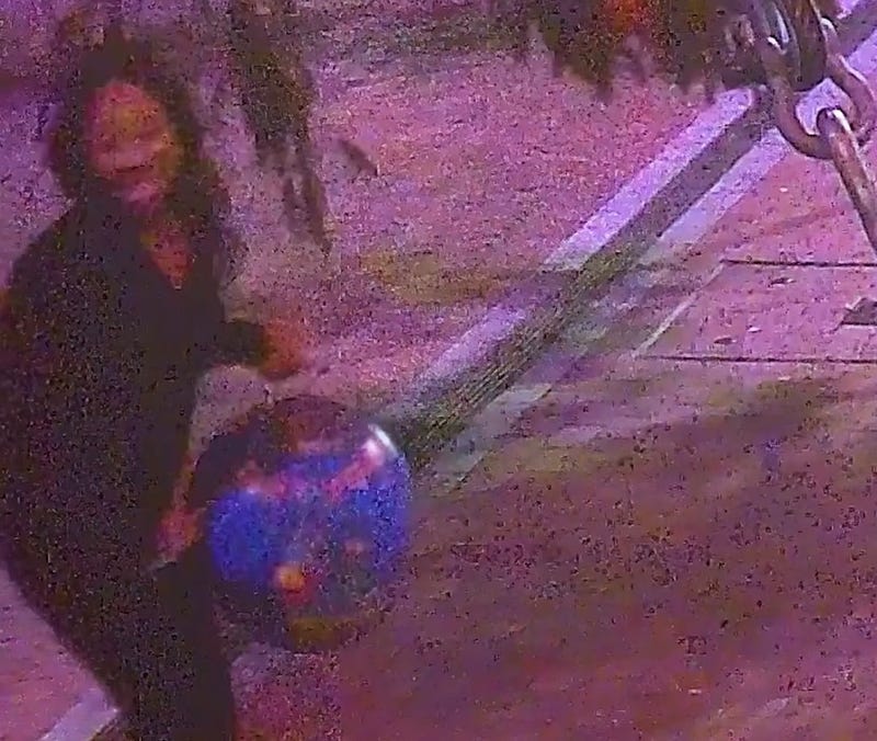 Suspect in Sundance Square tree ornament theft