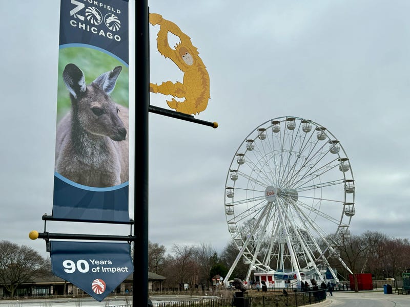 Ferris Wheel