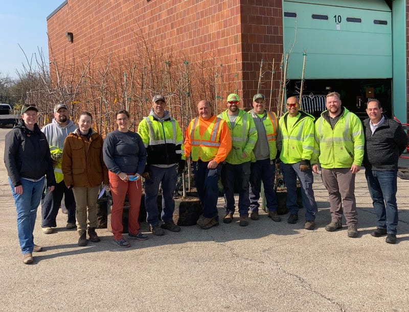 Woodridge Public Works staff with donated trees