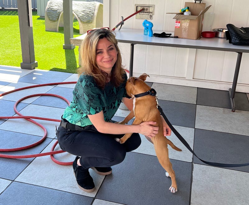 PAWS CEO Susanna Homan