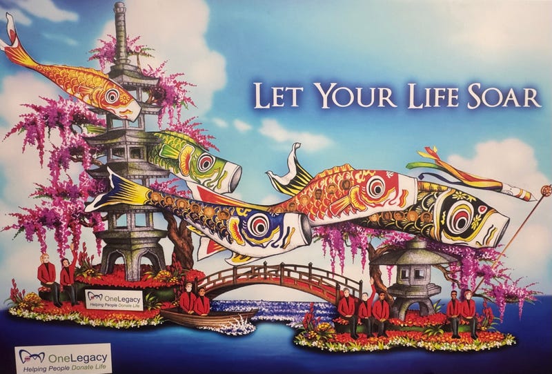 illustration of let your life soar float