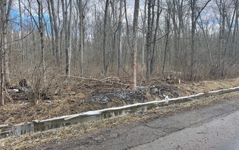 Delaware Road near Goodrich in Clarence. Scene of a one vehicle crash that killed two Williamsville South high school students Monday.