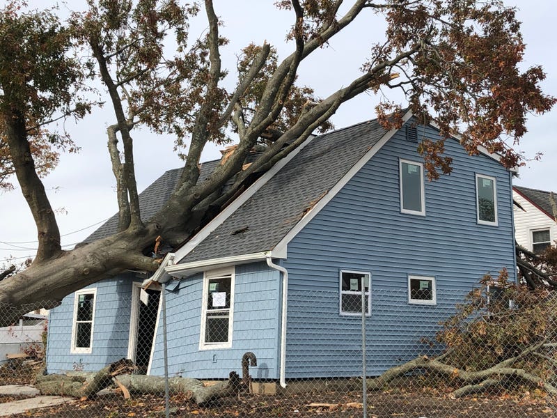 A tornado touched down on Long Island Saturday, knocking a large tree onto a house in Levittown.