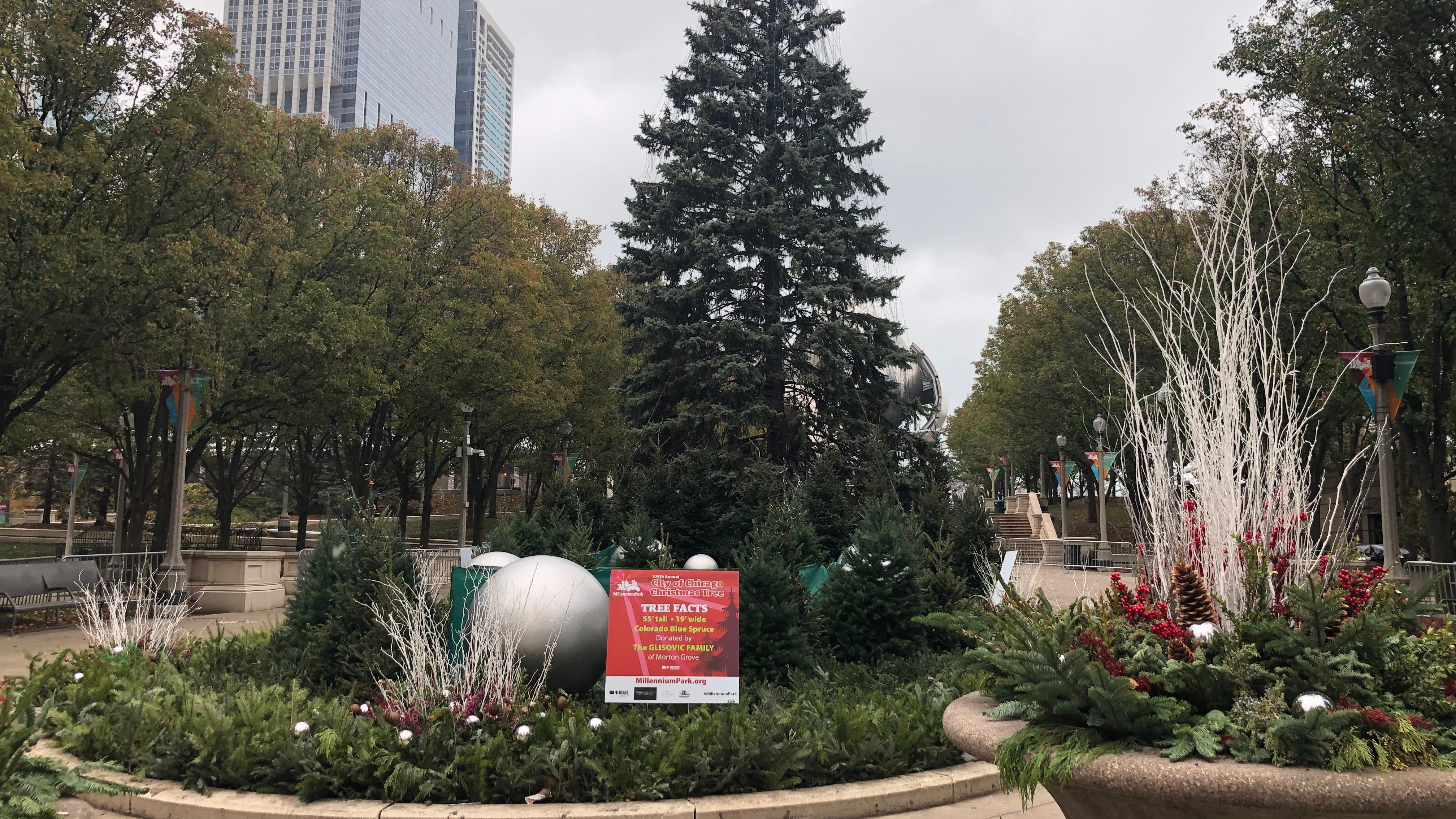 Tis the season: Holiday festivities have already started at Millennium Park