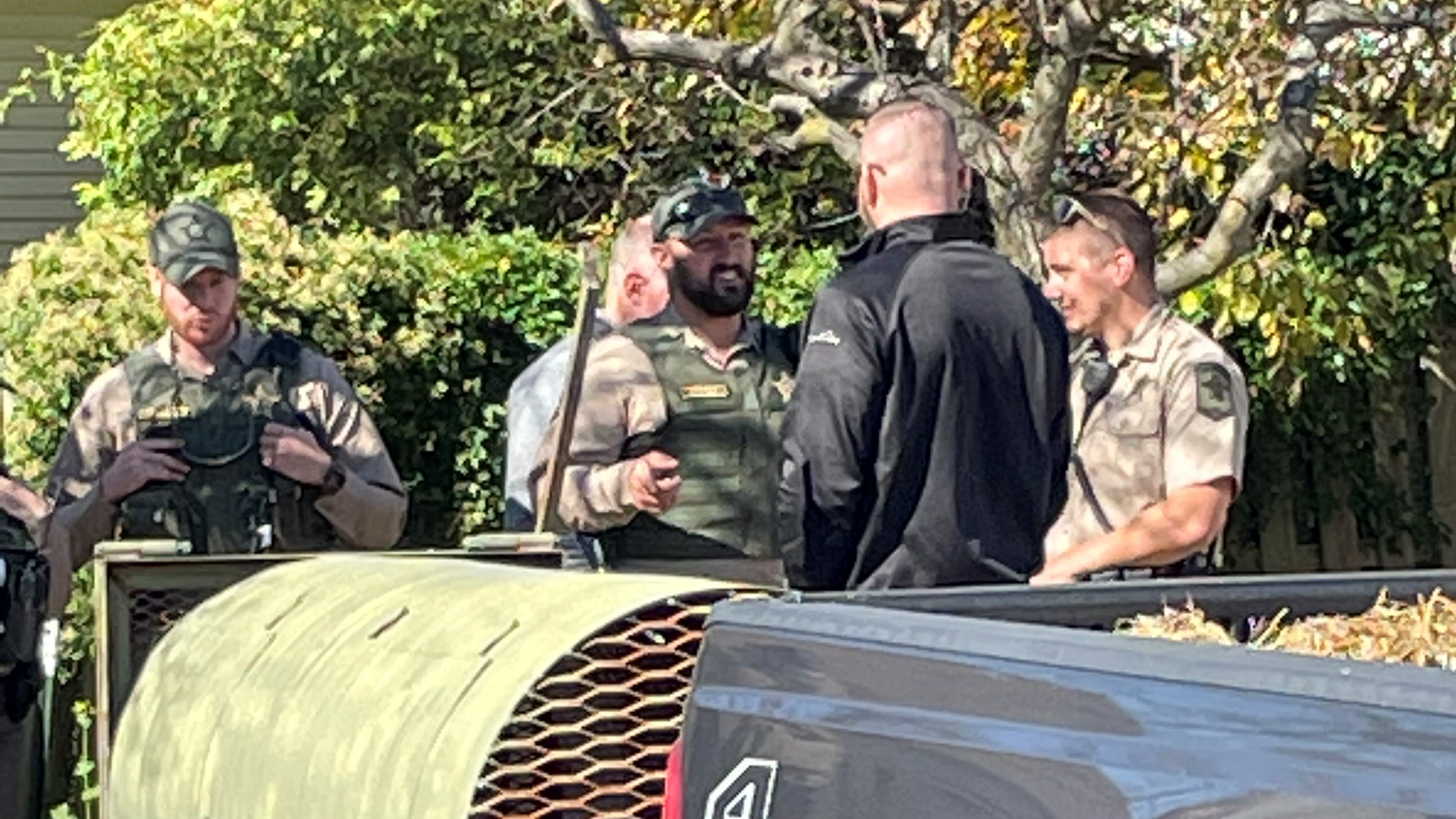 Mountain lion spotted in Springfield was caught and tranquilized: DNR