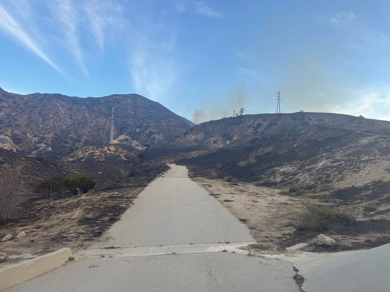 wildfire