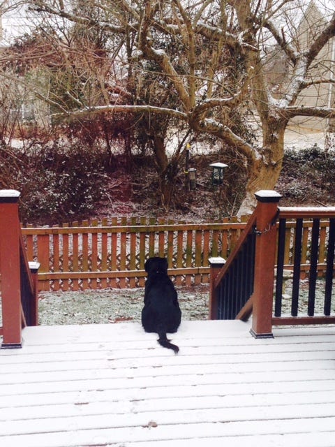Protect your home from extreme cold