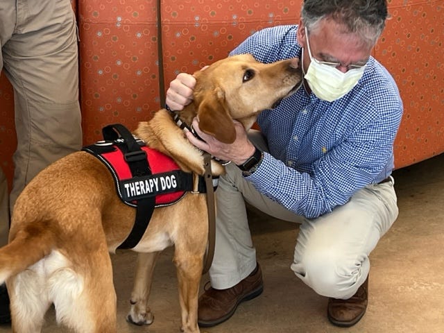 Cook County Sheriff Department Therapy Dogs