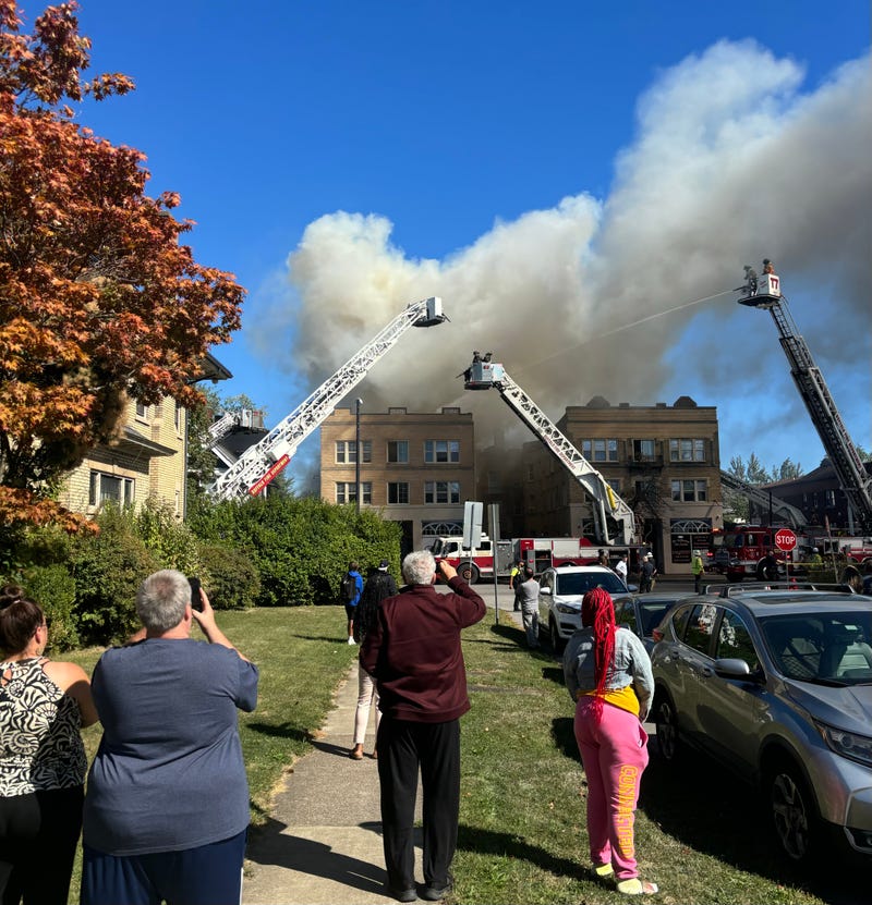 Buffalo FIre