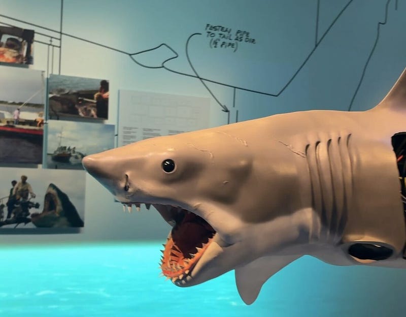 Shark