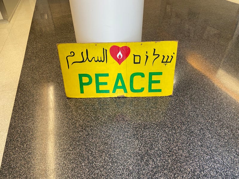War, Israel, Gaza, Palestine, Minneapolis, City Council