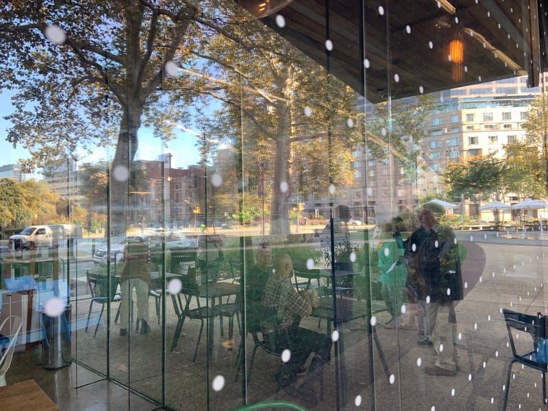 Dotted bird-safe window decals at Logan Circle's Sister Cities Cafe.
