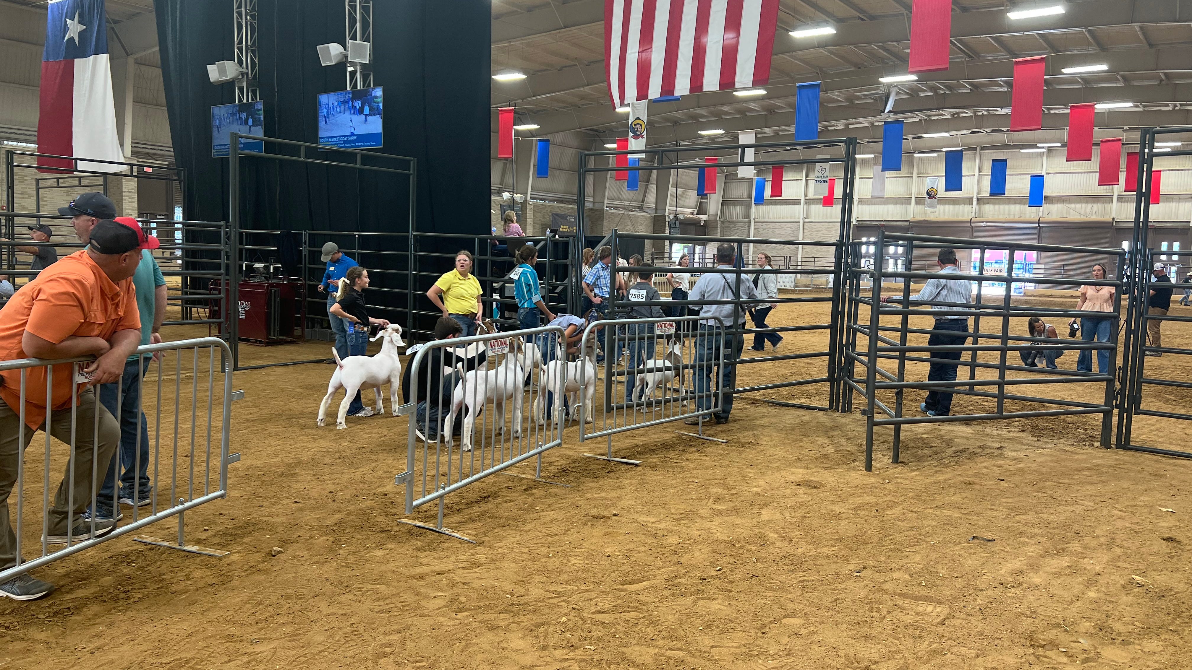 North Texas Wants to Know: Why are livestock shows important to the culture of the State Fair of Texas?