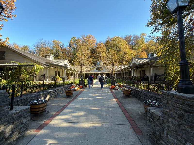 People walk along a wide path flanked by autumn trees and festive pumpkins at a scenic outdoor marketplace. The atmosphere is calm and inviting.
