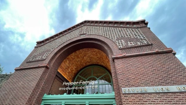 Lincoln Park Zoo sees positive public reaction to new lion habitat