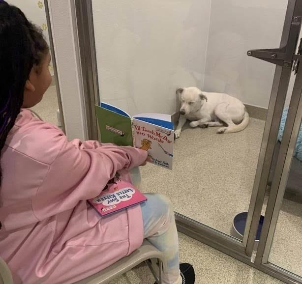 Child reads to dog at Burlington County Animal Shelter.