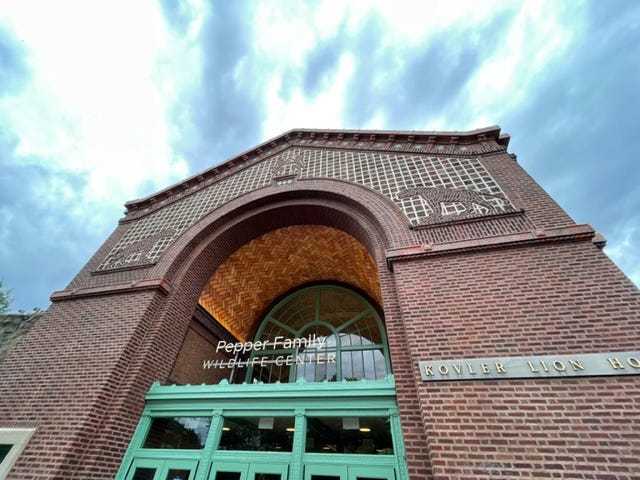 The original lion house was constructed in 1912 and designated a Chicago Landmark in 2005. The Pepper Family Wildlife Center renovation team worked with the Commission on Chicago Landmarks to preserve, restore, and enhance the architecturally significant features of the historic building.