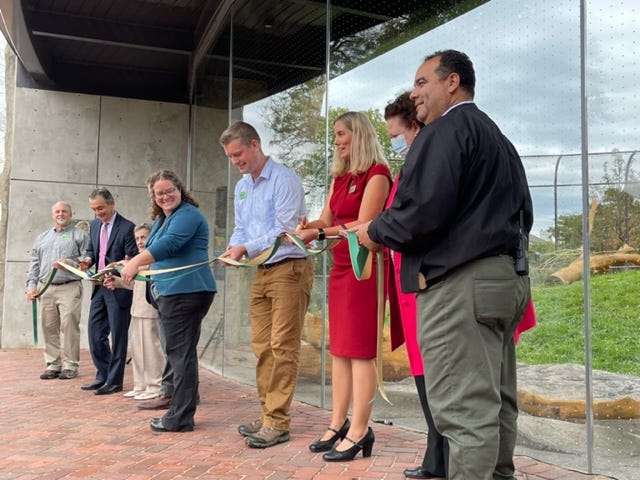 Lincoln Park Zoo opened Thursday its new state-of-the-art habitat, Pepper Family Wildlife Center, welcoming lions and other carnivores back to Chicago. The $41 million renovation focuses on animal choices, from thermal comfort zones for cooling and heating to intricate rockwork and climbing trees for vertical complexity.