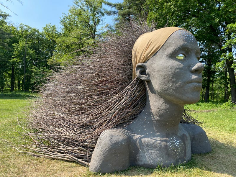 Morton Arboretum