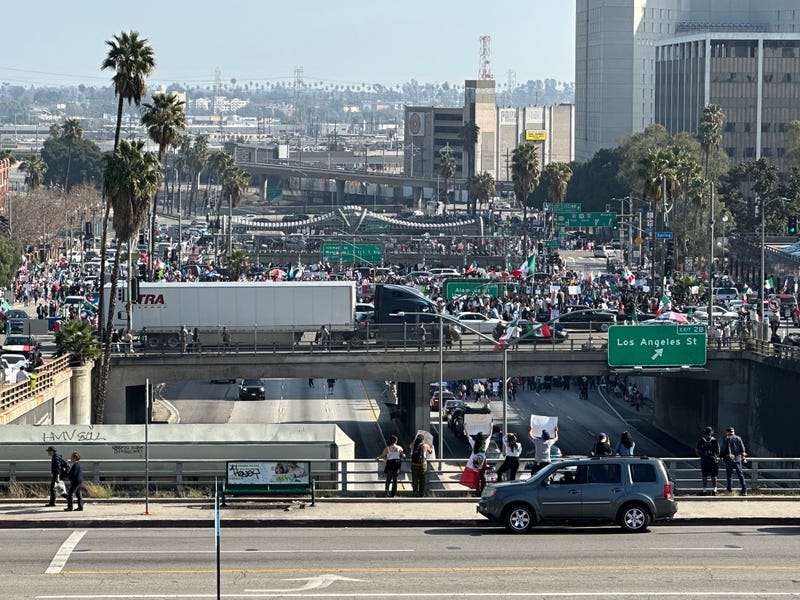 DTLA Protest
